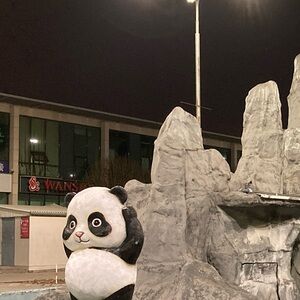 Meet your Posher, Tanya